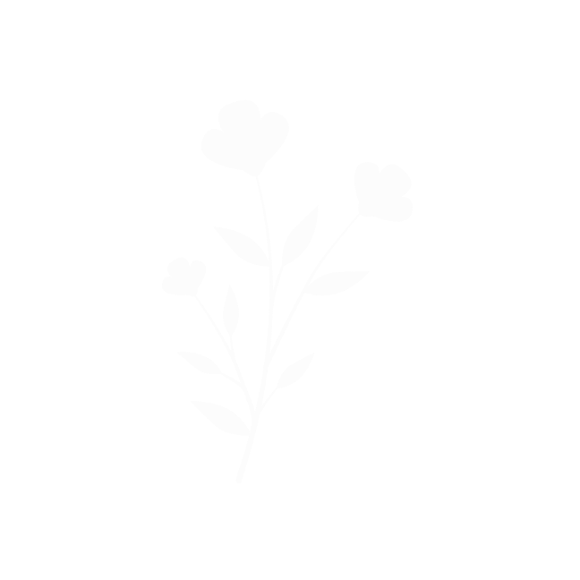 flower illustration